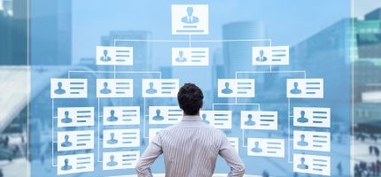 Exploring the 9 Types of Organizational Structures for Optimal Growth