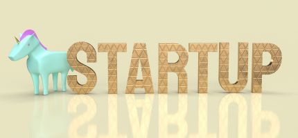List of Unicorn Startups in India